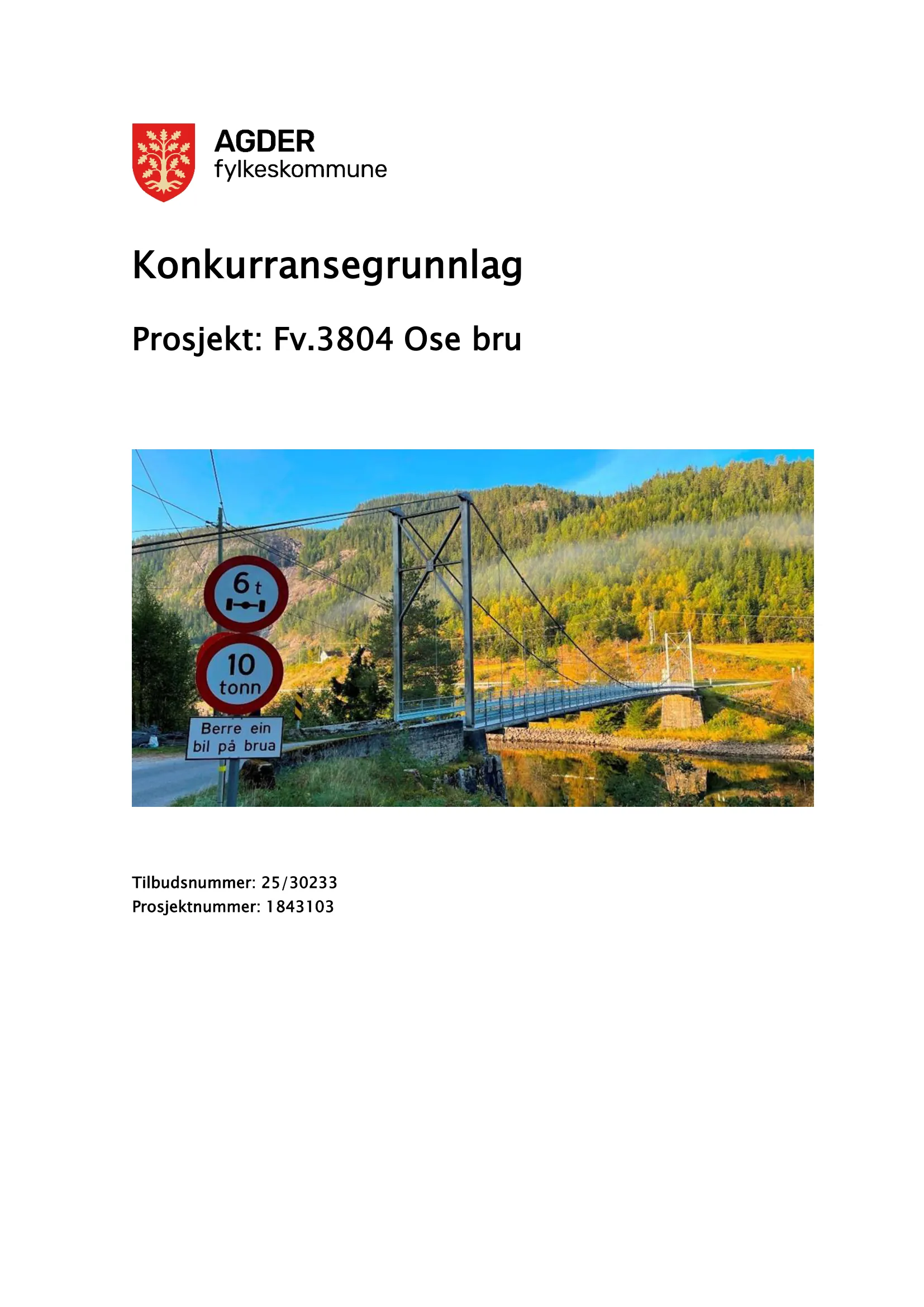 Konkurransebeskrivelse