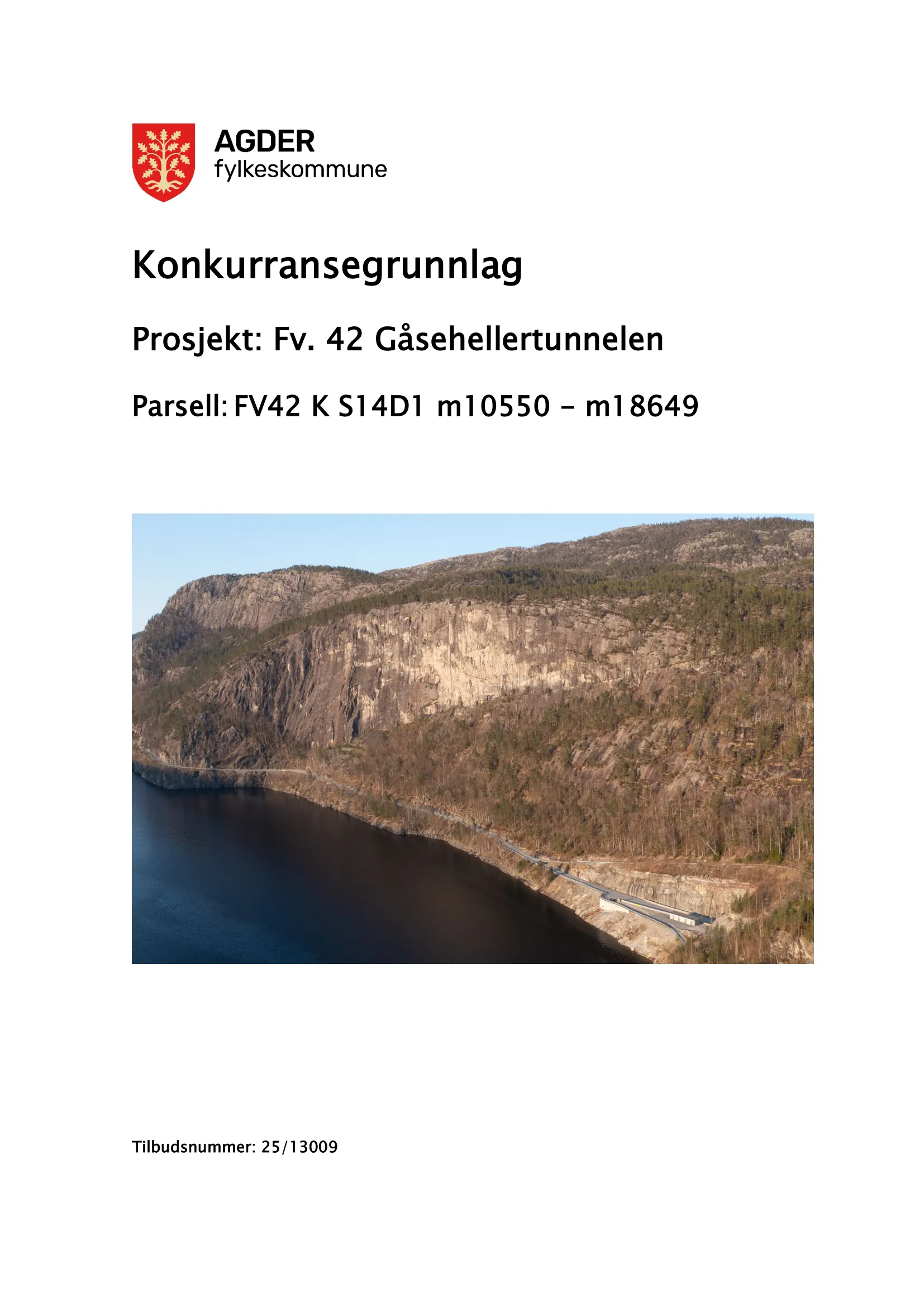 Konkurransebeskrivelse
