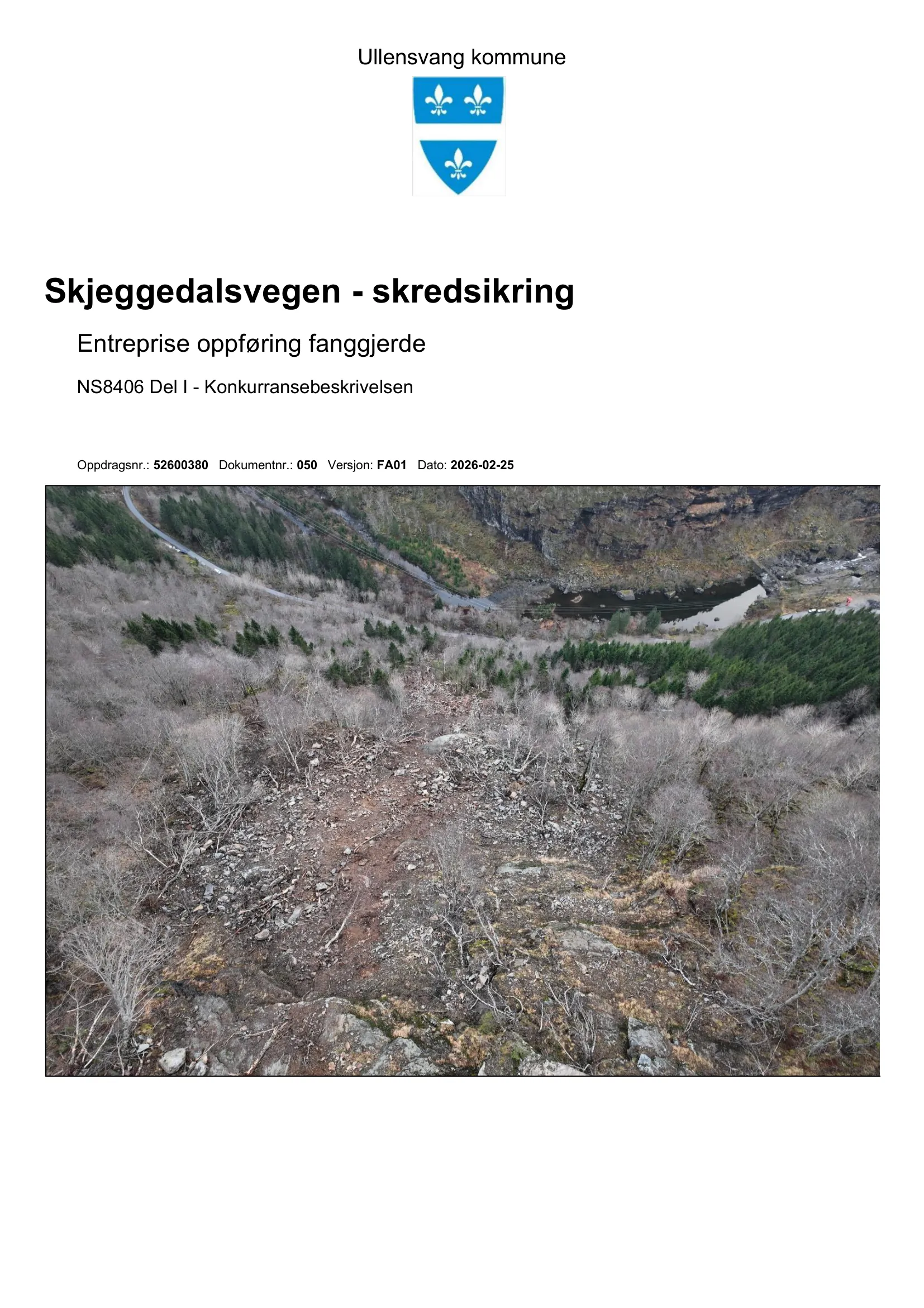 Konkurransebeskrivelse